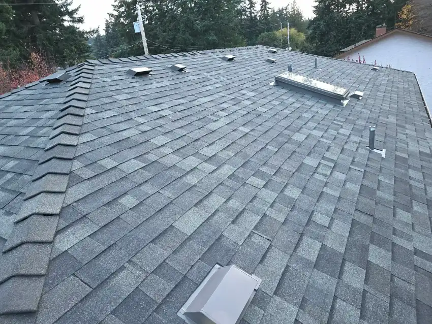 Grey shingled roof with vents and a skylight, surrounded by trees and a neighbouring building.