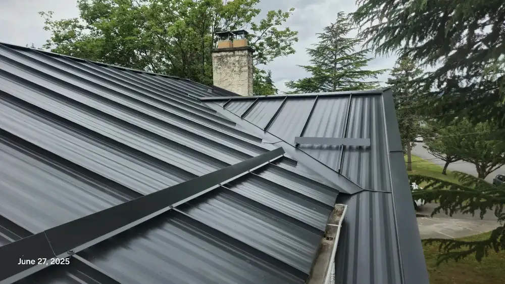 Metal roof with overlapping panels, surrounded by trees, with a chimney visible in the background. June 27, 2025.
